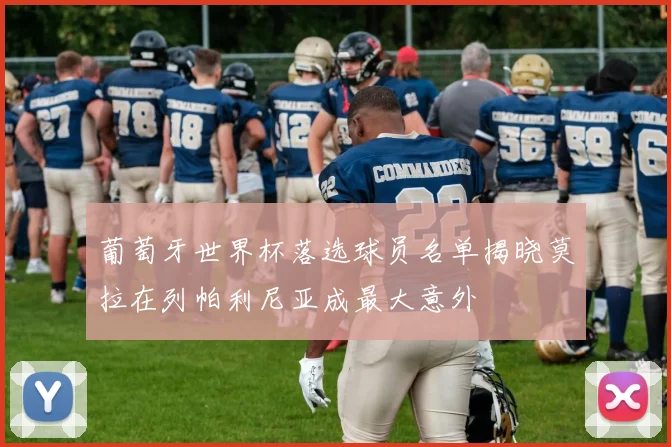 葡萄牙世界杯落选球员名单揭晓莫拉在列帕利尼亚成最大意外