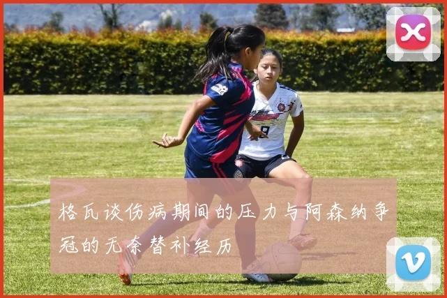 格瓦谈伤病期间的压力与阿森纳争冠的无奈替补经历